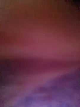 bigtoyanal