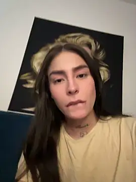 Modelo: Camistar18