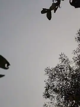 Srishti_sharma