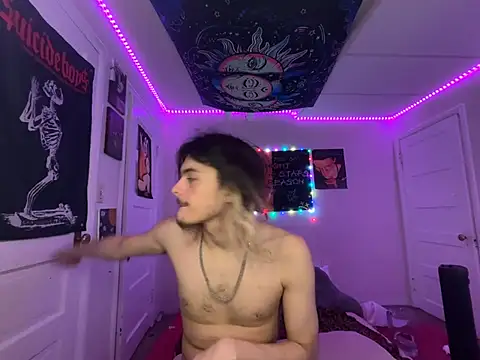 venusfairys