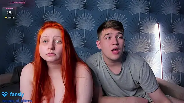 couple_of_kittens_