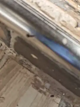 ScentingToluene live cam preview