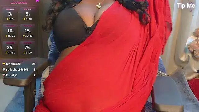 punemodel