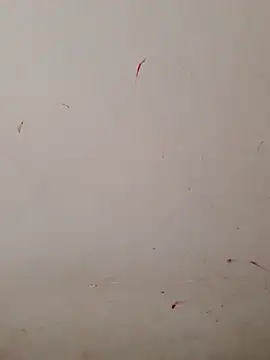 Teri_lella