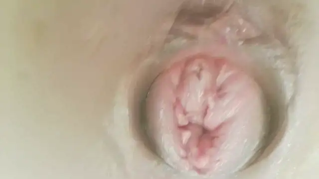karol_stom
