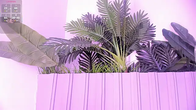stephanymonroe