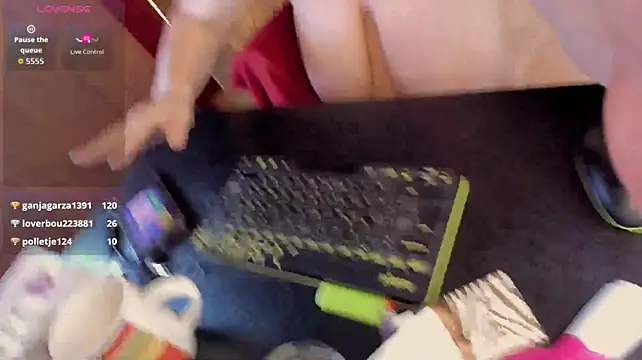 KellyPerfection
