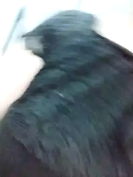 Bigg-arabic