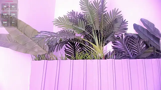stephanymonroe