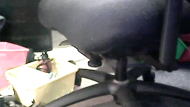 Valdeznuts