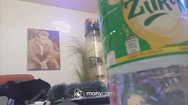 der_dino30