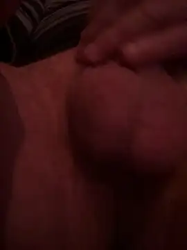 exib33 live cam preview