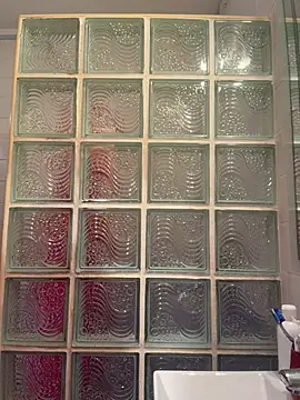 ladyturtle