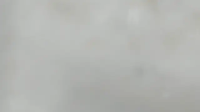 Carolinaa_pm