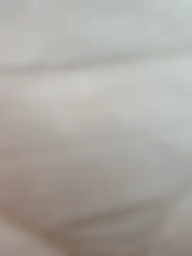 FansBRISA