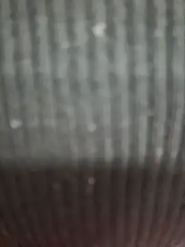 emilyjohanson webcam
