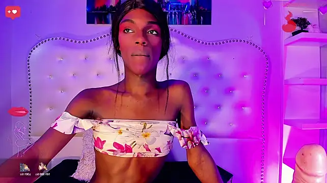 ALONDRA-FARELO