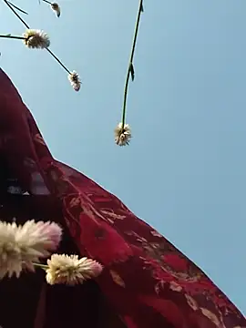 Srishti_sharma