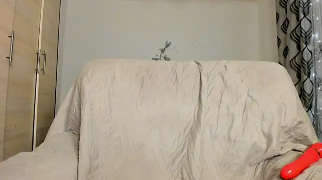 PlayfulDaisy