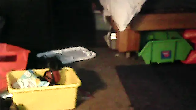 Valdeznuts
