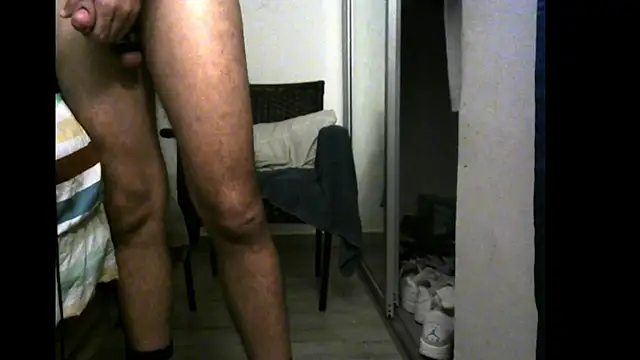 3LEGSSS