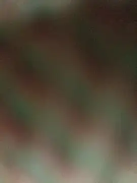 Teri_lella9