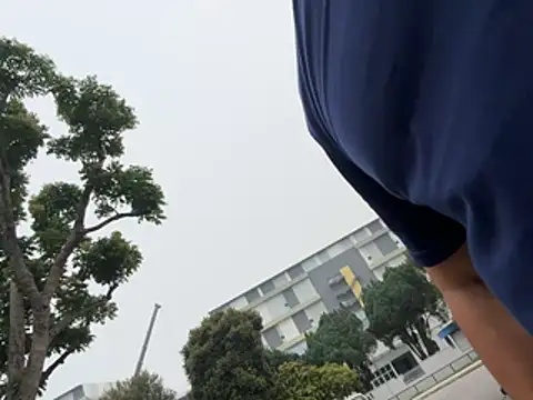 Cunzhangshibage02