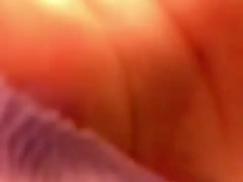CaeliThalyana live cam preview