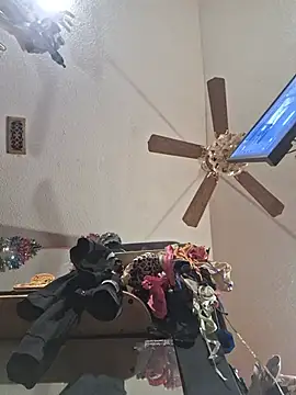 DaddyAndSplashQueen live sex cam