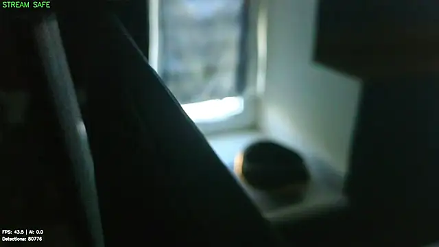 Pippa_Pebble webcam