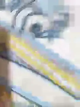 CplAnita