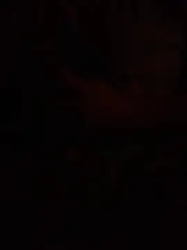 Ldnick69