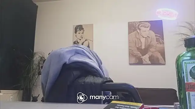 der_dino30 webcam