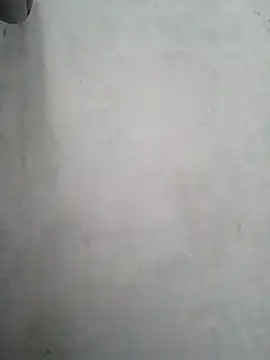 XAMSTERLAYV