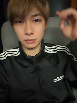 Vi_1314 webcam
