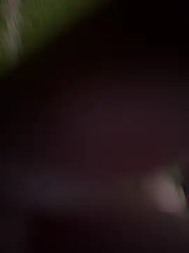 vikivika999