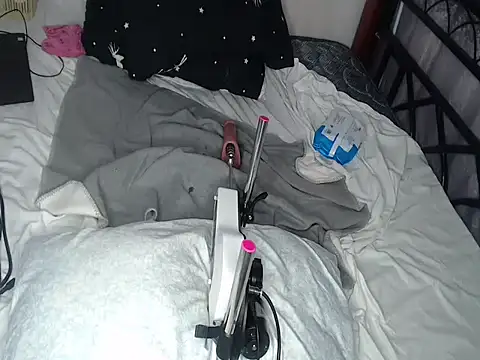 Whimsicalwillow