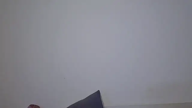 desirmiss1