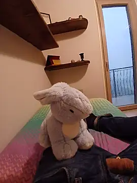 DevotoAlCazzone