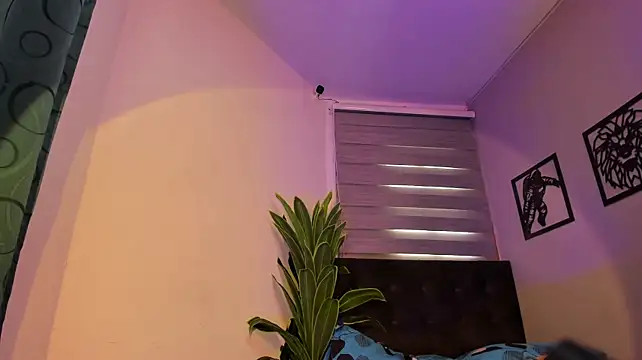 Mix_electra_nova