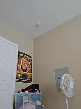 AmethystFoxx