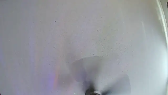 TheGreenEyedBear