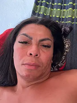 Bellatrans__