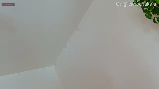 mochakaia live cam on StripChat