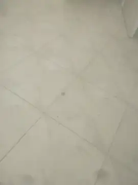locurasdetodo
