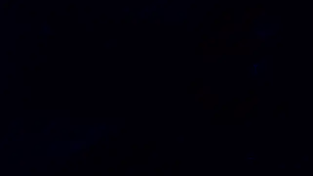 BryanGrey__
