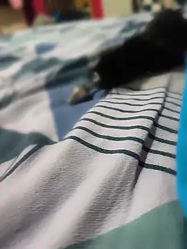 soyyoelque4