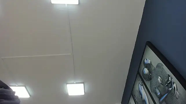 Charlie___Musk