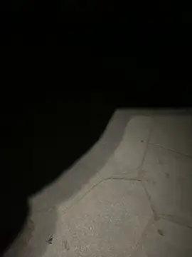 hbaza-1 live cam preview