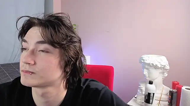 maks_brayn webcam